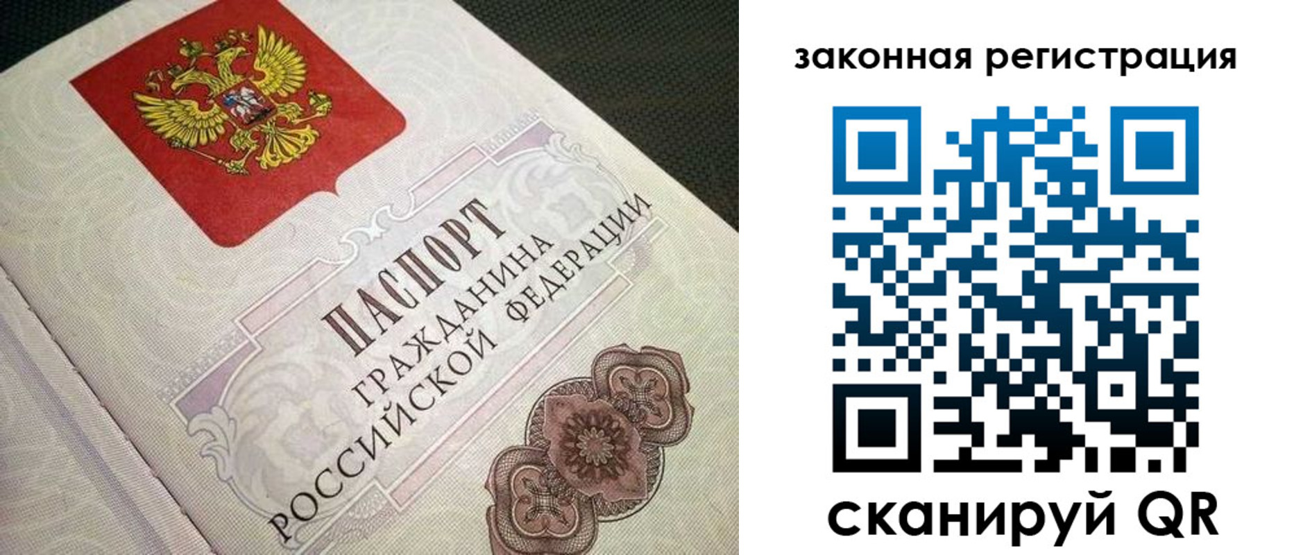 прописка в Елизово